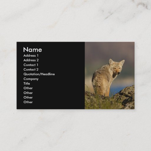 Customizable profile or business card, coyote