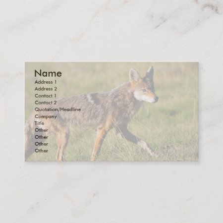 Profile Or Business Card, Coyote Business Card