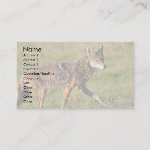 profile or business card coyote business card