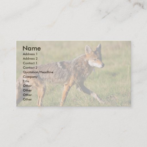 Customizable profile or business card, coyote
