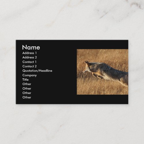 profile or business card coyote jumping business card