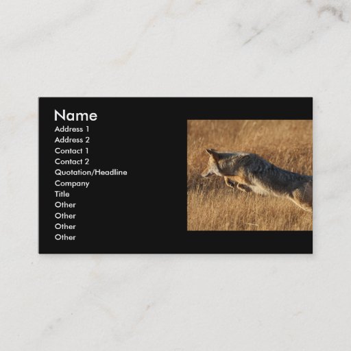 Customizable profile or business card, coyote jumping