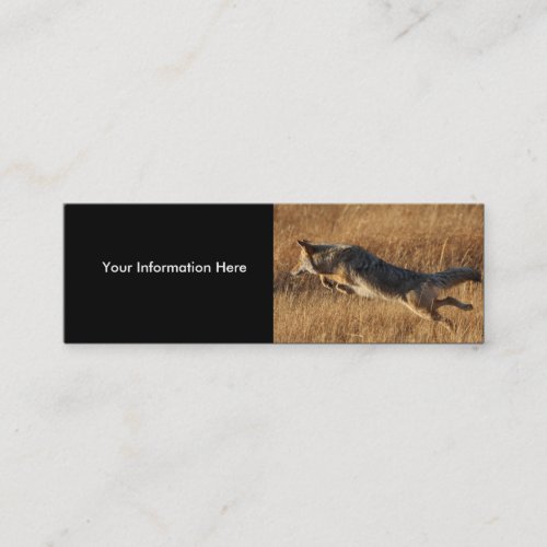 profile or business card coyote jumping mini business card
