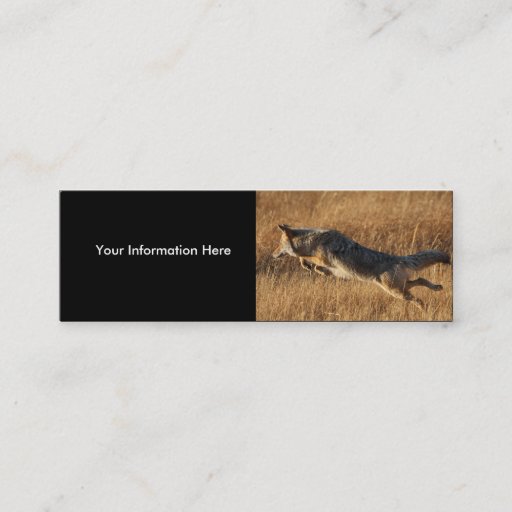 Customizable profile or business card, coyote jumping