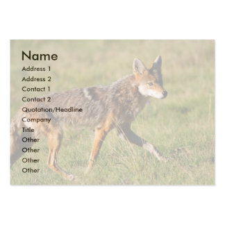 Coyote Business Cards & Templates | Zazzle