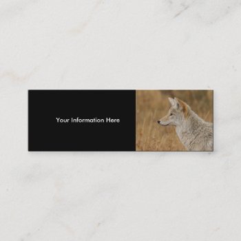 Profile Or Business Card  Coyote Mini Business Card by WorldDesign at Zazzle