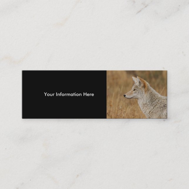 profile or business card, coyote mini business card (Front)