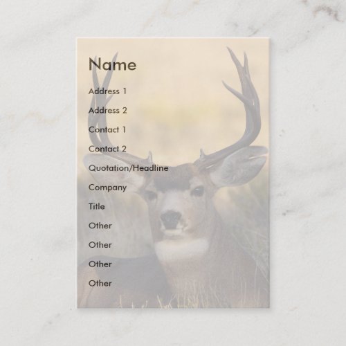 profile or business card, deer