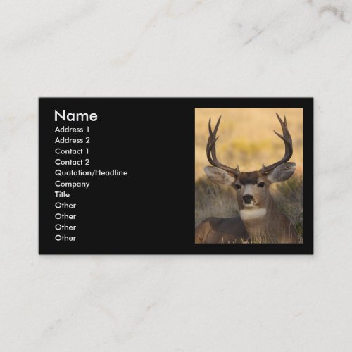 profile or business card, deer