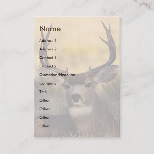 profile or business card, deer card (Front)