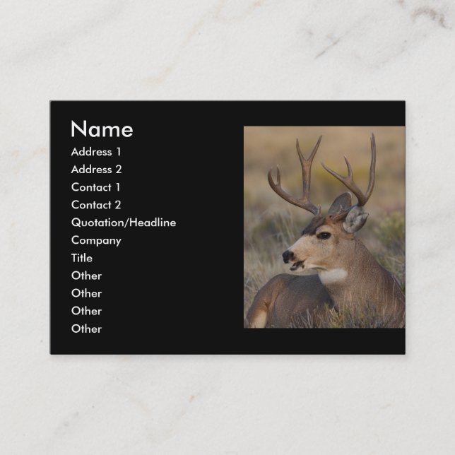 profile or business card, deer card (Front)