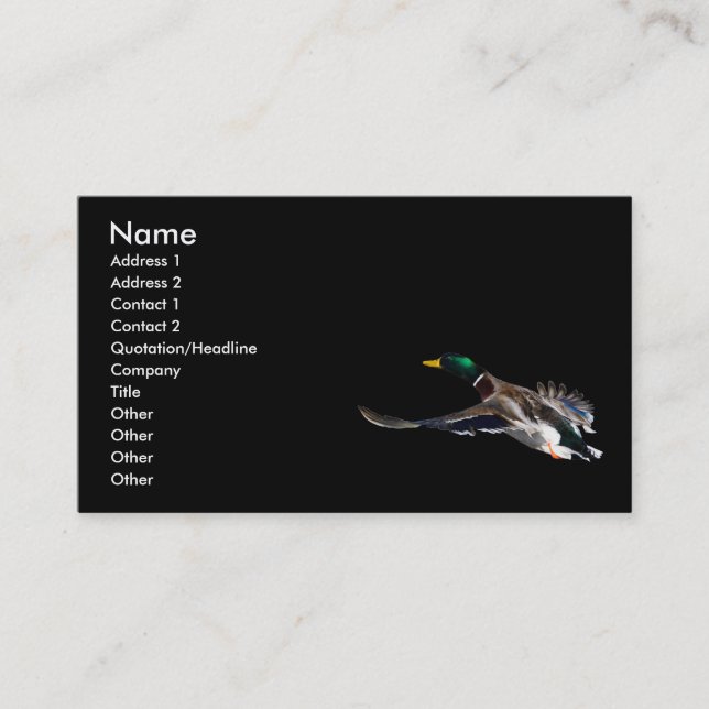 profile or business card, duck business card (Front)