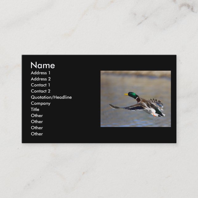 profile or business card, duck card (Front)