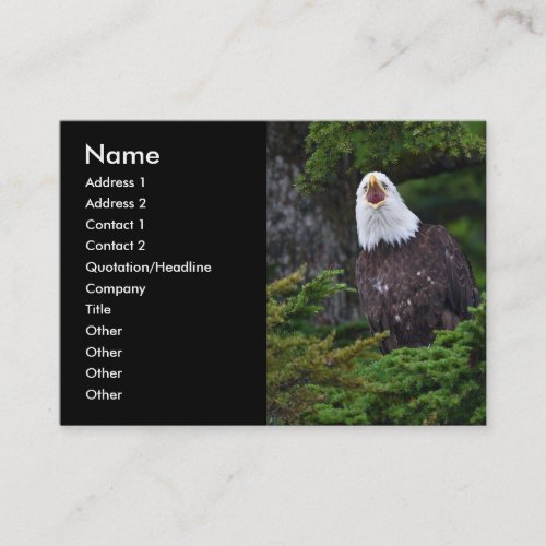 profile or business card, eagle