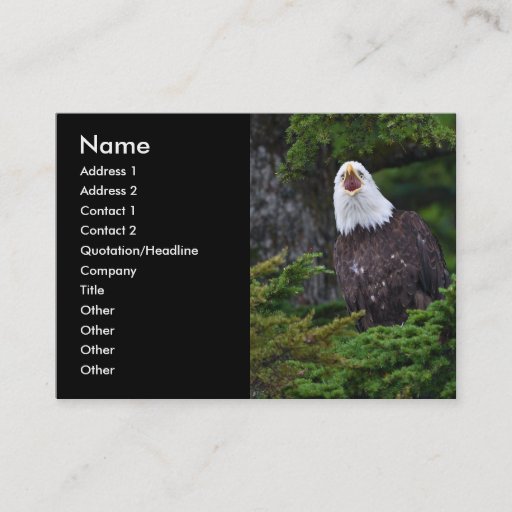 Customizable profile or business card, eagle