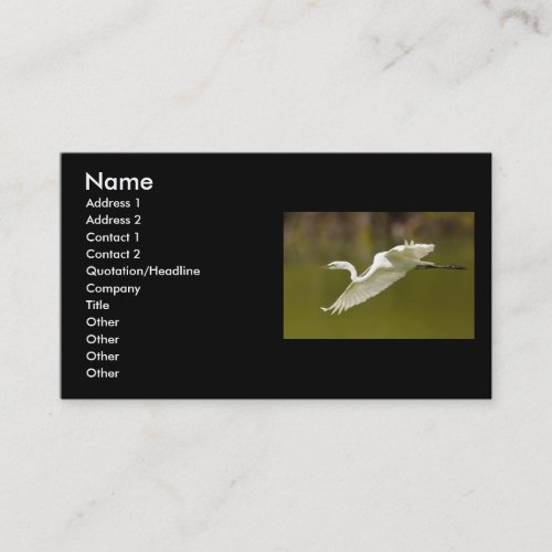 profile or business card, egret
