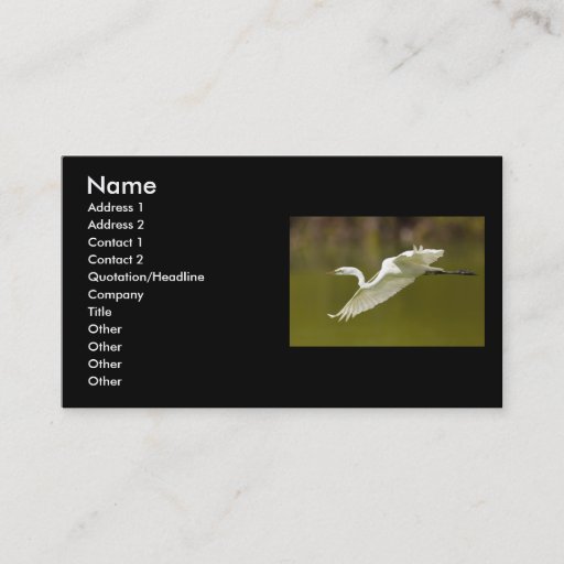 Customizable profile or business card, egret