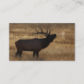 profile or business card, elk bugle business card (Back)