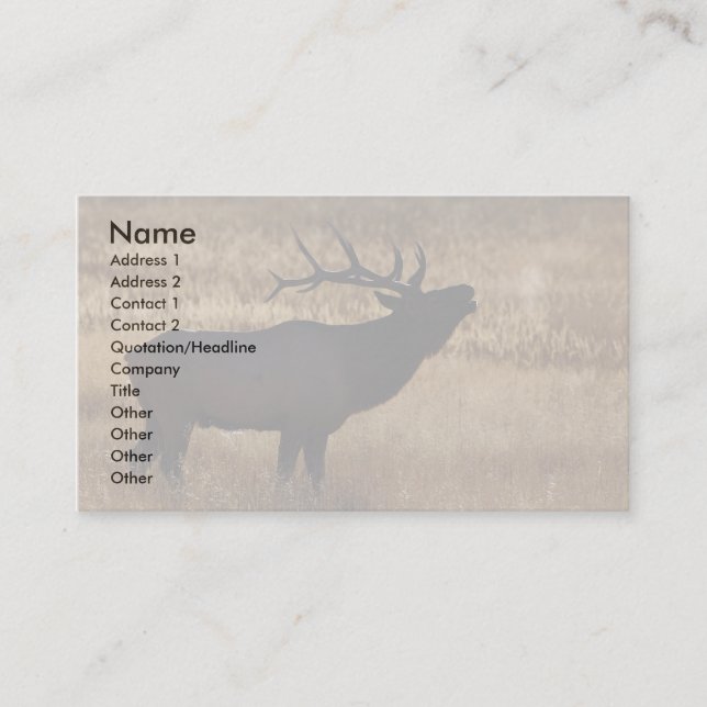 profile or business card, elk bugle business card (Front)