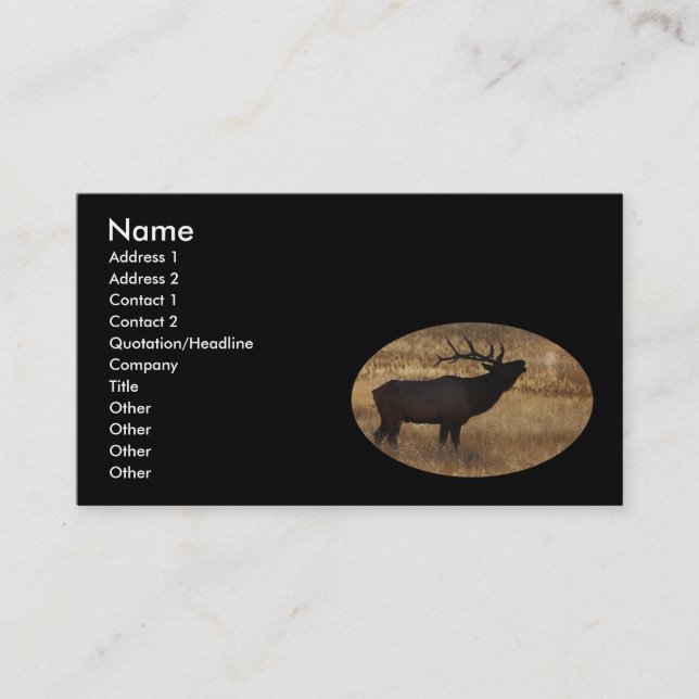 profile or business card, elk bugle card (Front)
