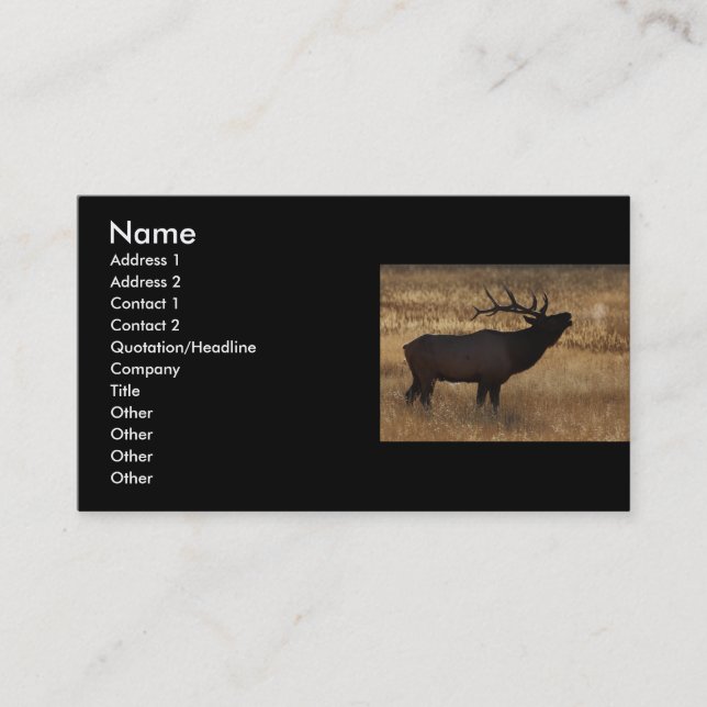 profile or business card, elk bugle card (Front)