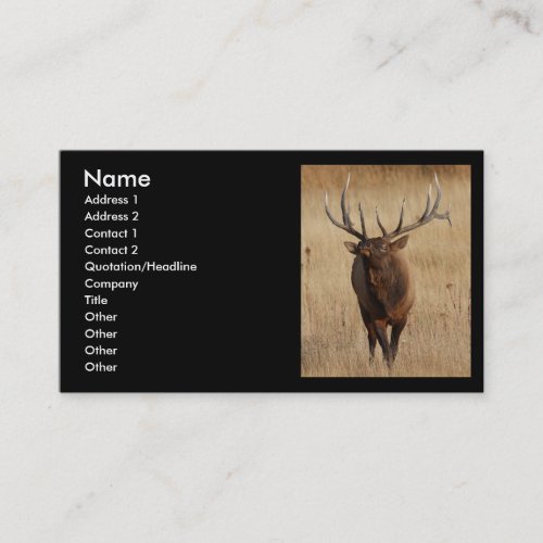 profile or business card, elk