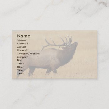 Profile Or Business Card  Elk Business Card by WorldDesign at Zazzle
