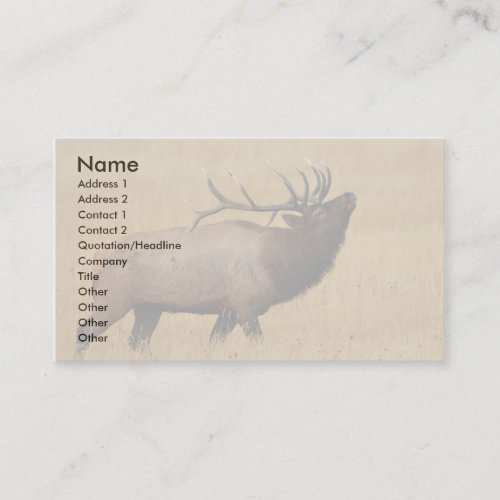 profile or business card elk business card