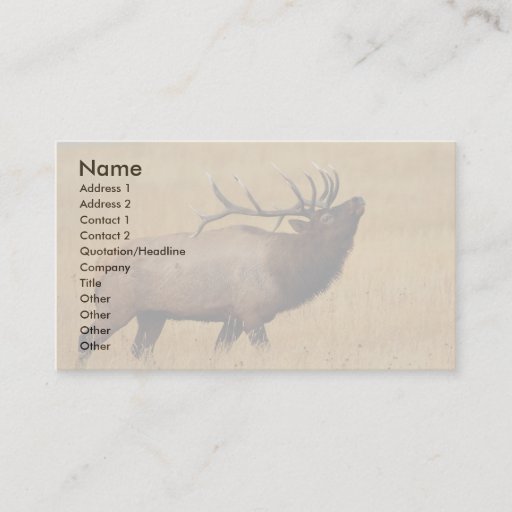 Customizable profile or business card, elk