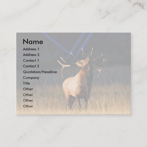 profile or business card, elk