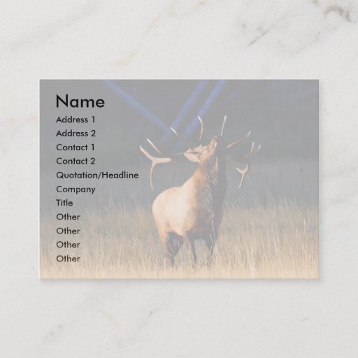 Customizable profile or business card, elk