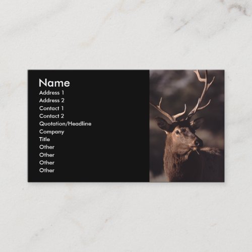 profile or business card, elk
