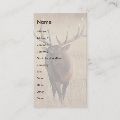 profile or business card, elk