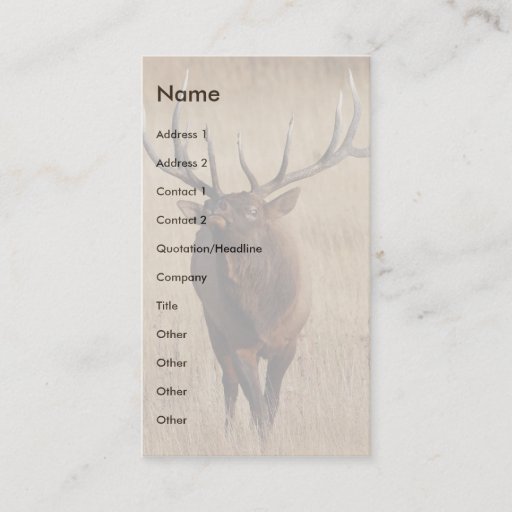 Customizable profile or business card, elk