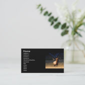 profile or business card, elk business card (Standing Front)