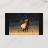 profile or business card, elk business card (Back)