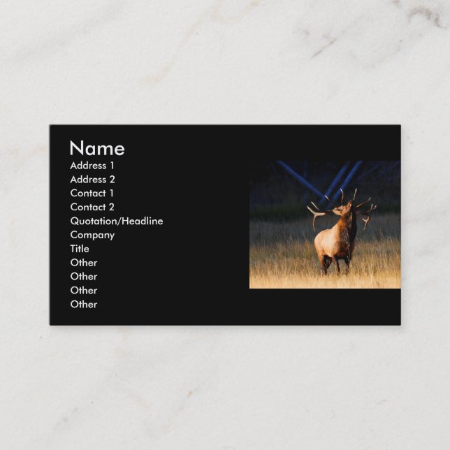 profile or business card, elk business card (Front)