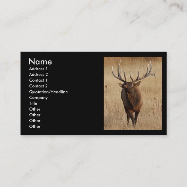 profile or business card, elk card (Front)