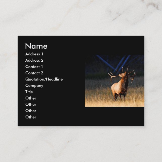 profile or business card, elk card (Front)