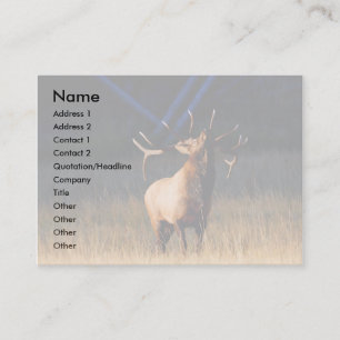 profile or business card, elk card