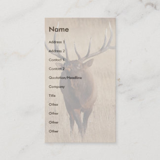 profile or business card, elk card