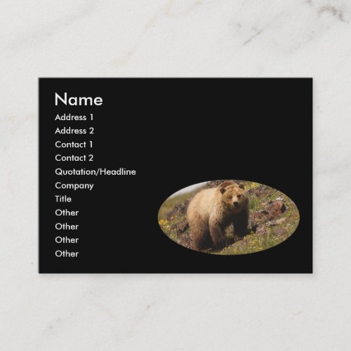 profile or business card, grizzly bear