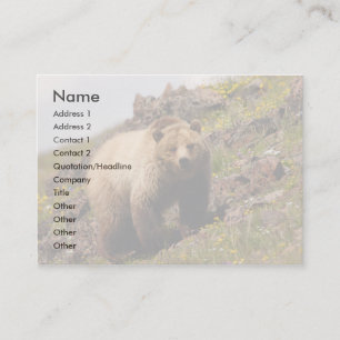 profile or business card, grizzly bear business card
