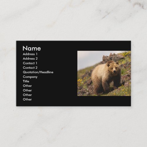 profile or business card, grizzly bear