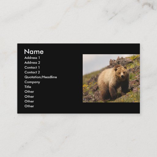 Customizable profile or business card, grizzly bear