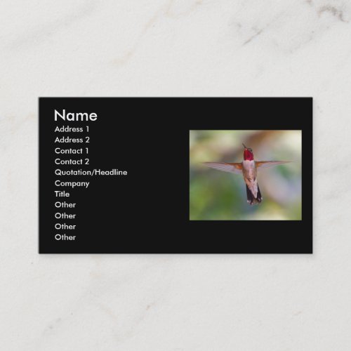 profile or business card, hummingbird