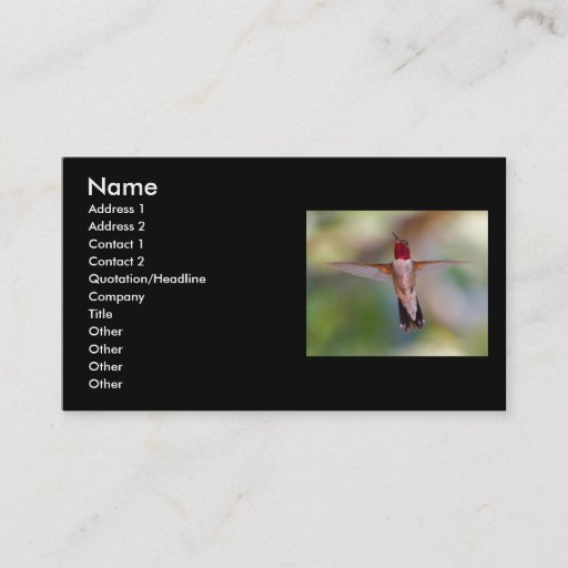 Customizable profile or business card, hummingbird