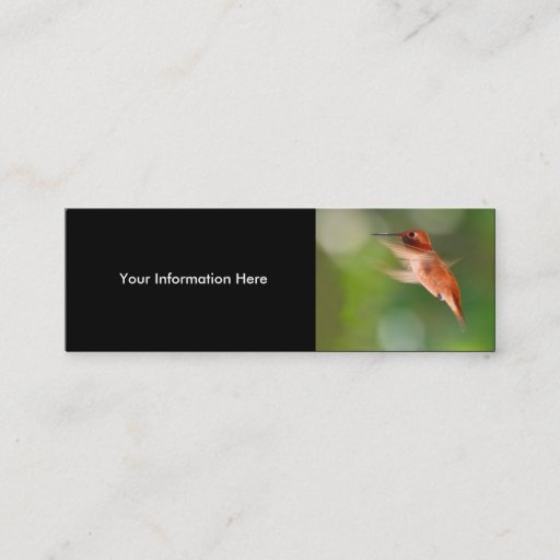 Customizable profile or business card, hummingbird