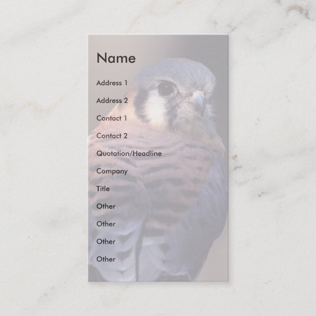 profile or business card, kestrel business card (Front)
