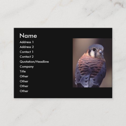 profile or business card, kestrel